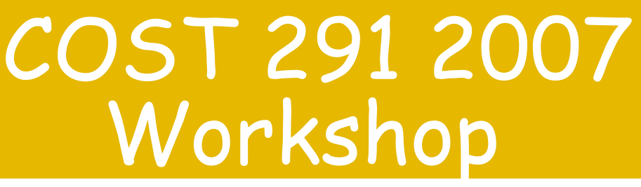 Cost 291 Workshop